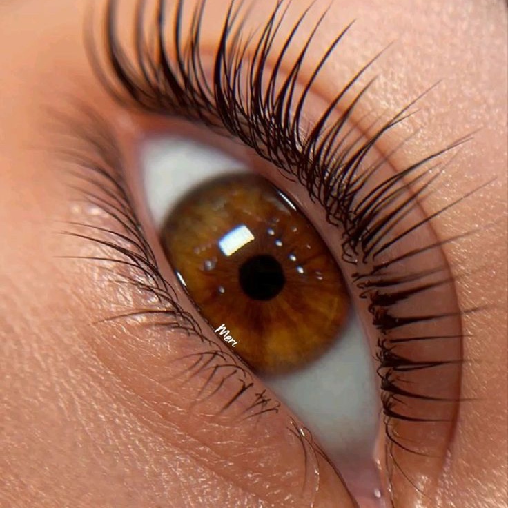 Eyelash Tinting at Bare Studio in Cedar Park, TX