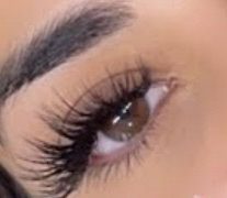 Wet Look Hybrid