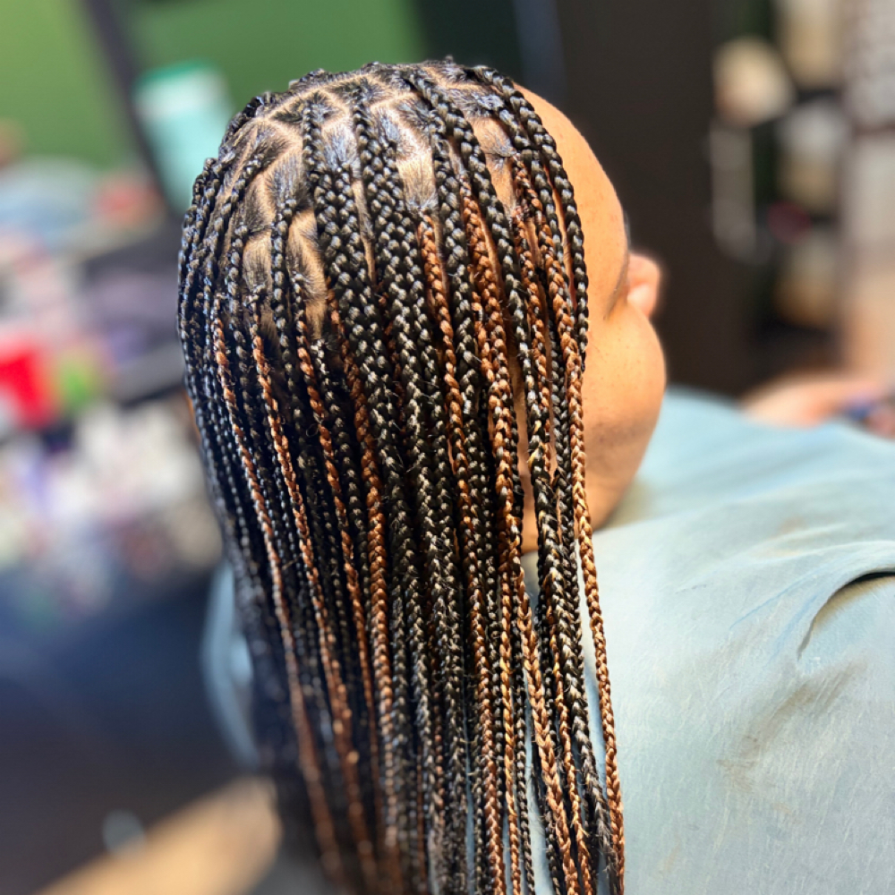 Children small Knotless braids at DeeStylist in Bryant, AR