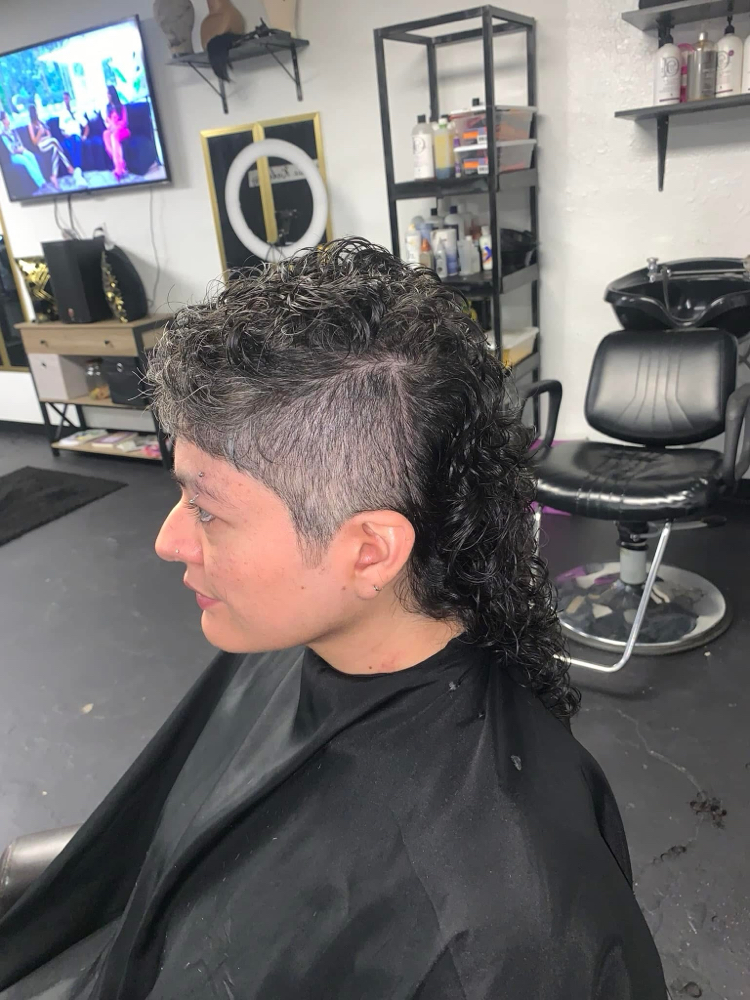 Hair Cut/shampoo at Styles4Smiles Salon in Greenville Tx, TX