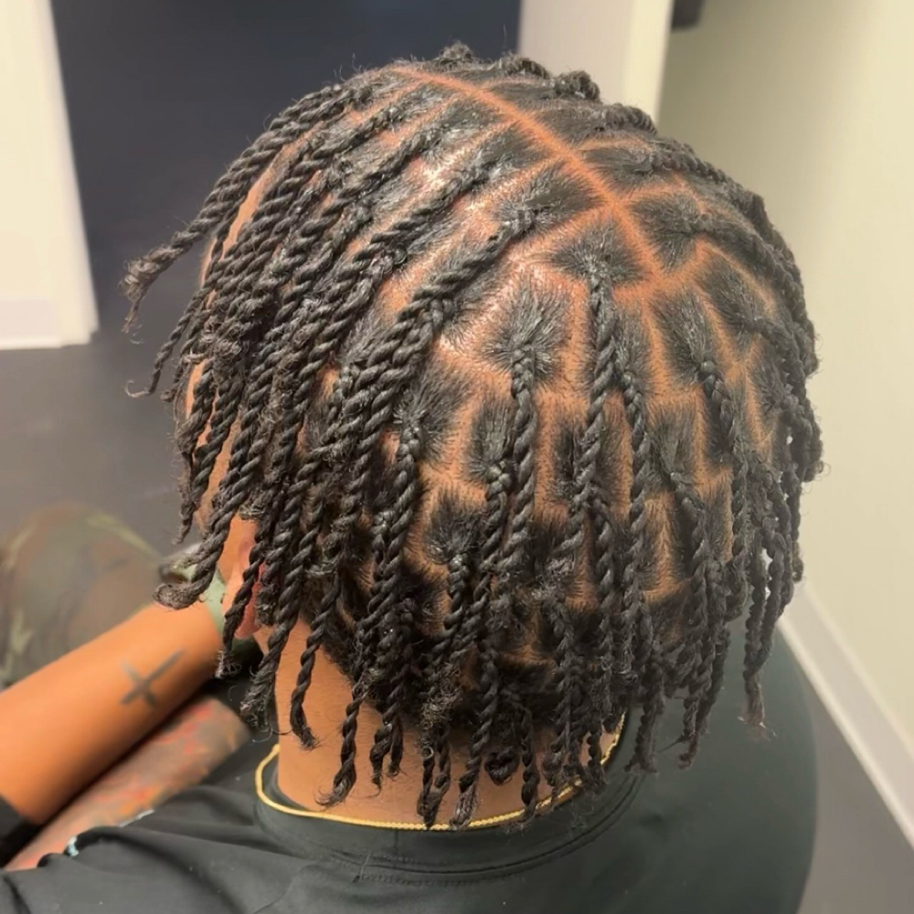 Natural Styles at BraidedByNeeta in Oakbrook Terrace, IL