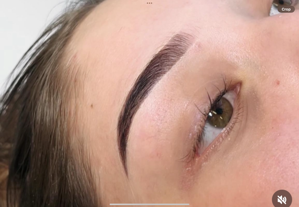Hybrid tint ,Mapping and shaping at Lizz Brows in Thornton, CO