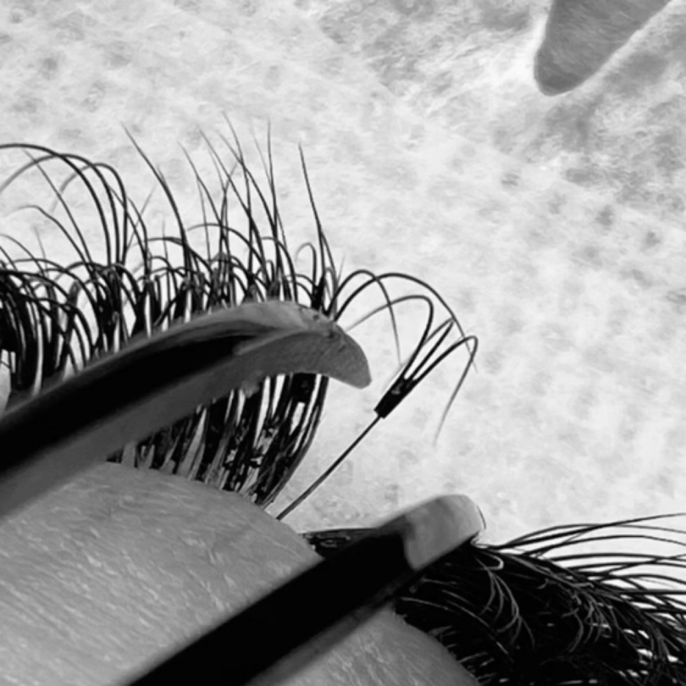 Eyelash Extension Fills at Divine Lashes & Beauty Bar in Flagstaff, AZ