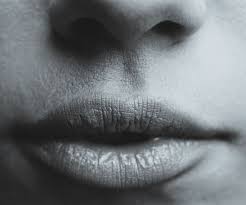 Lip Wax