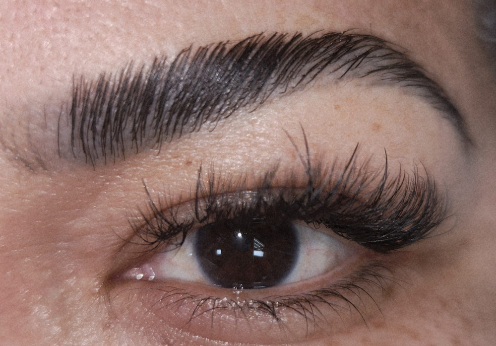 Eyebrow Lamination