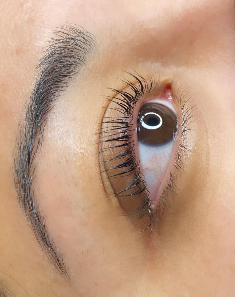 Lash Lift