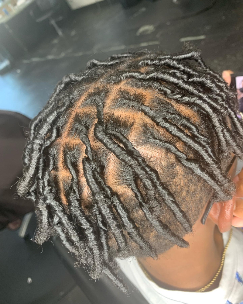 Starter Locs