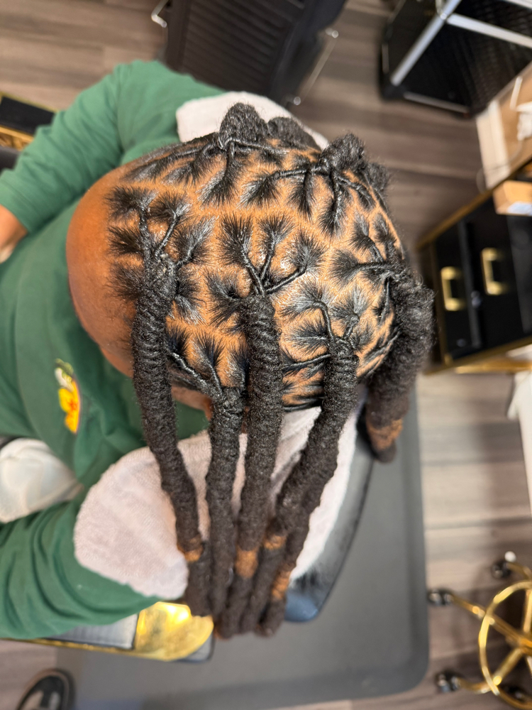 Locs Retwist & Coils