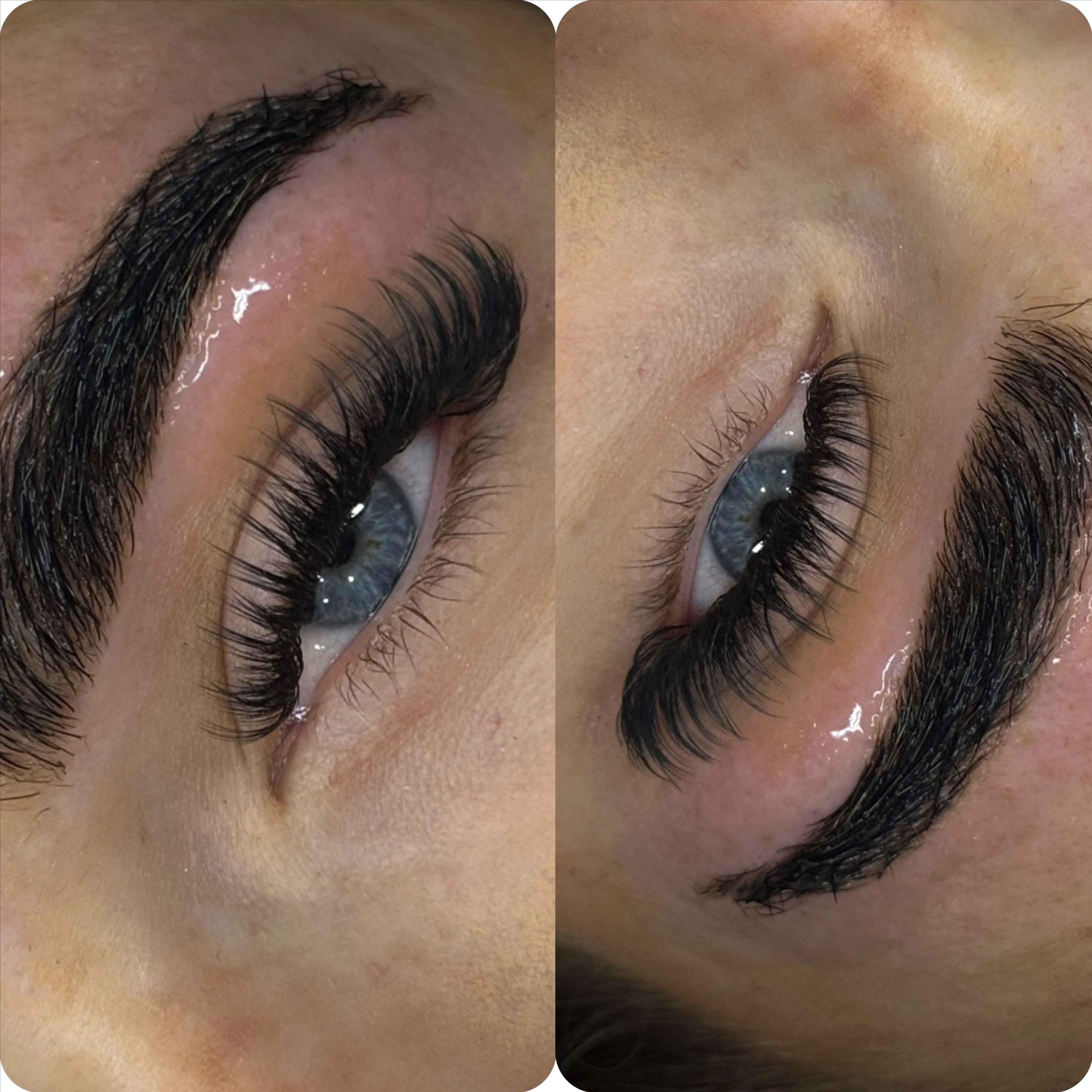 Signature Wispy Volume set at Habit Lash Artistry in Sarasota, FL