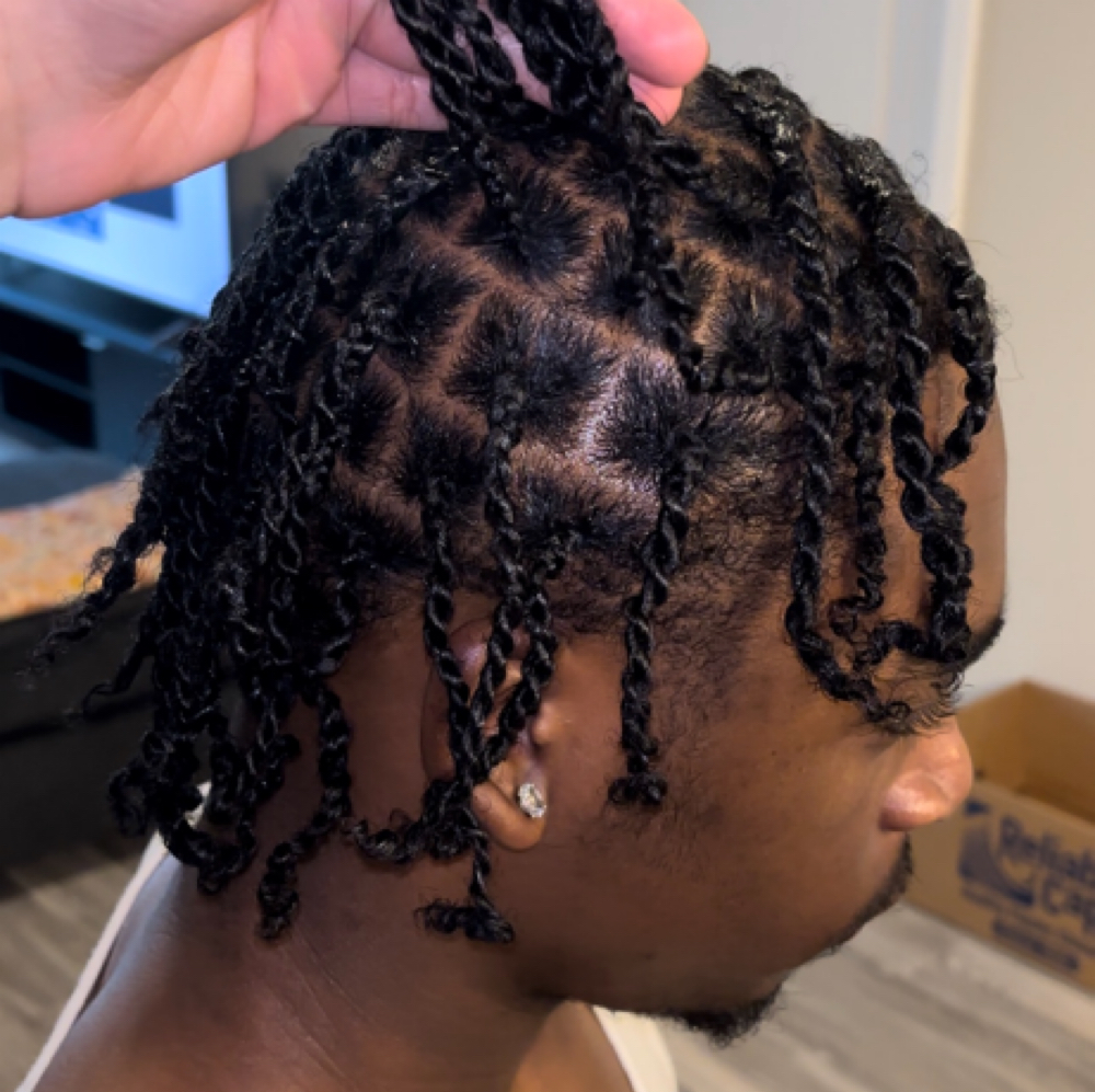 2 Strand Twists at Texture Talk Salon in Roseville, MN