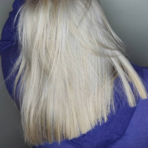 Shampoo, Blow dry, and Style