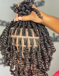 Starter Locs