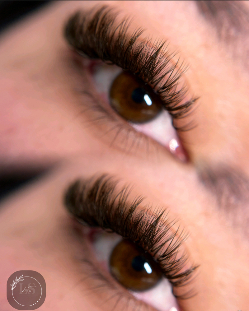 Brown Volume Set