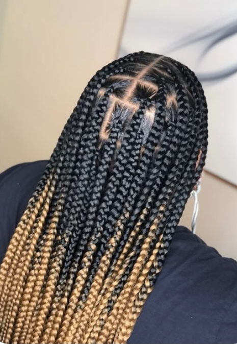 Knotless Box Braids Large