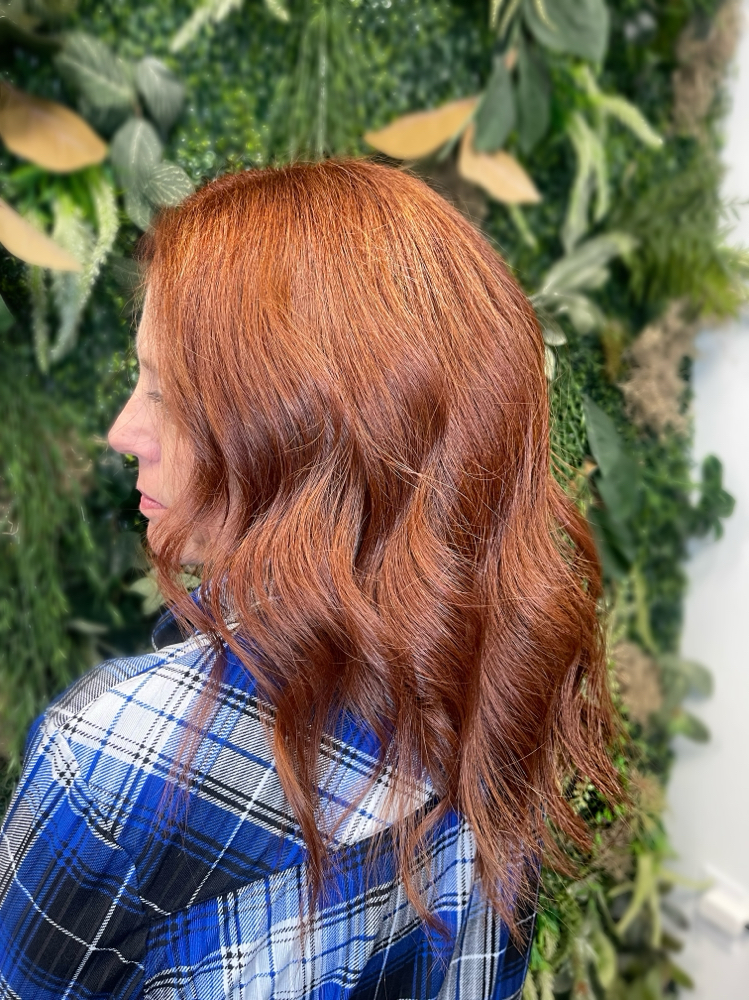 Root Touch Up