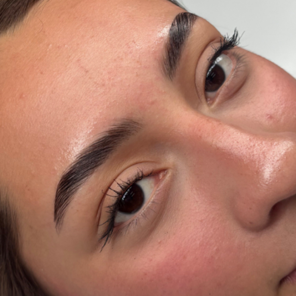 Eyebrow Lamination W/ Tint at Bonita Beauty- Facial + Brow Specialist BOAZ, AL in Boaz, AL