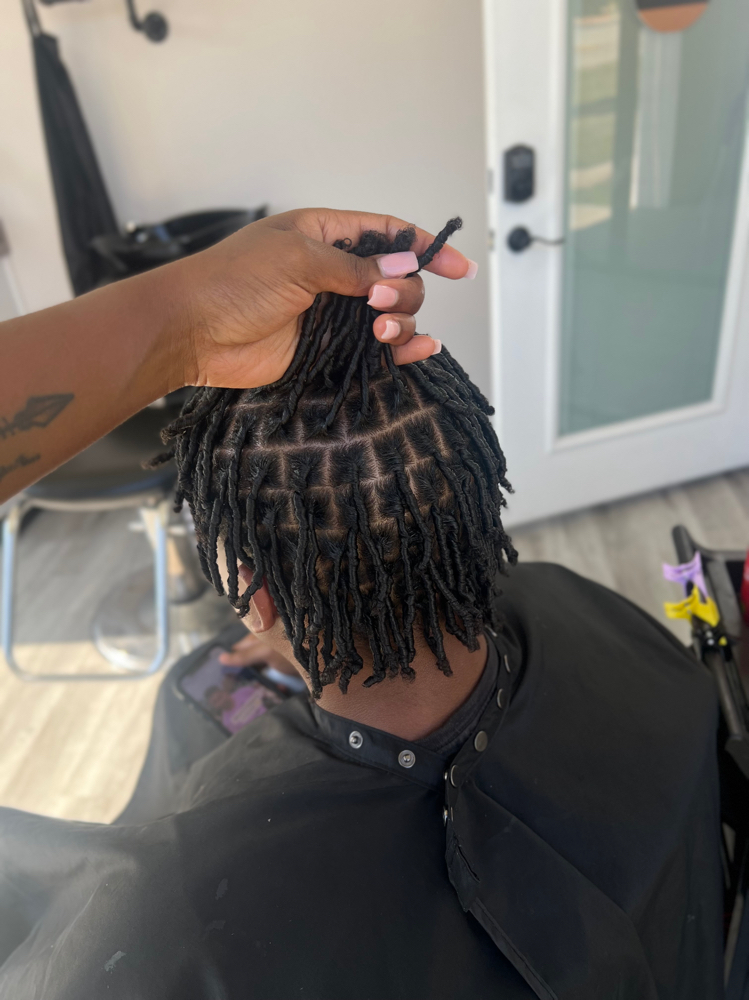 Adult Med Coil starter locs