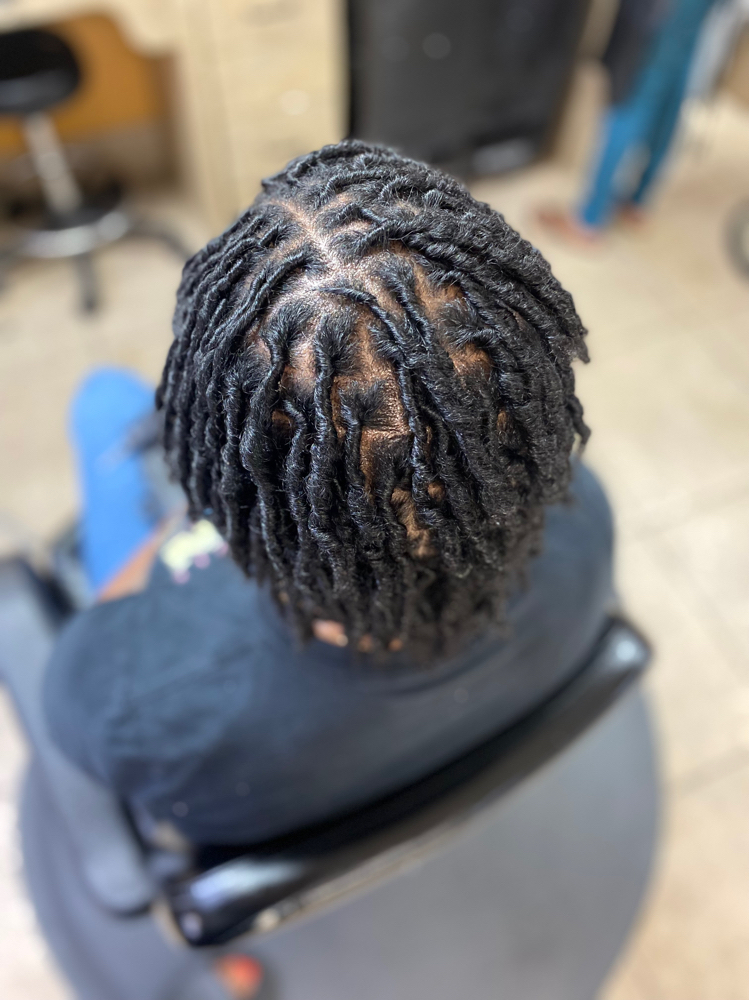 Starter Locs ( Full / Half Head)