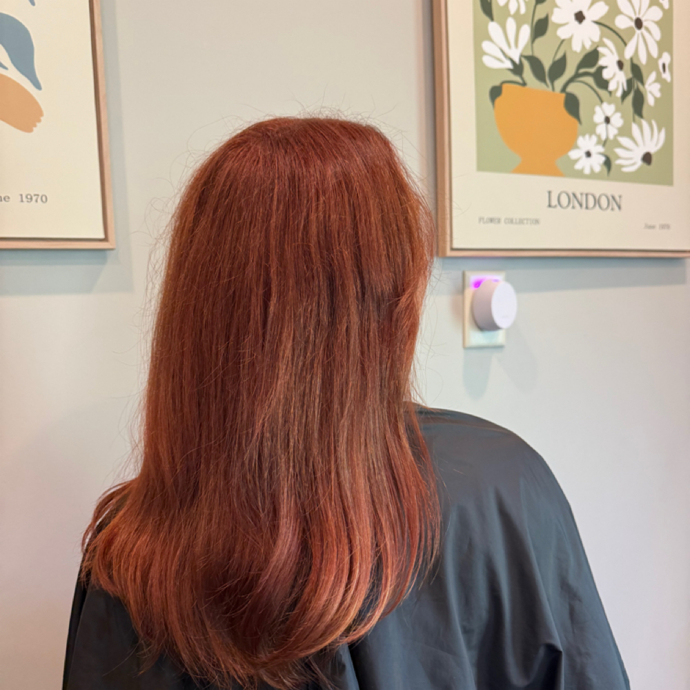 The Rich Bloom at Blonde + Bloom Co in Cedar Park, TX