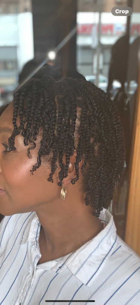 Two Strand Twist (Small)
