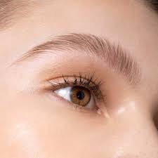 Brow Wax & Tint