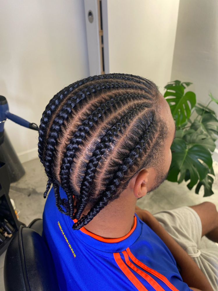 8 Braids (no hair added)