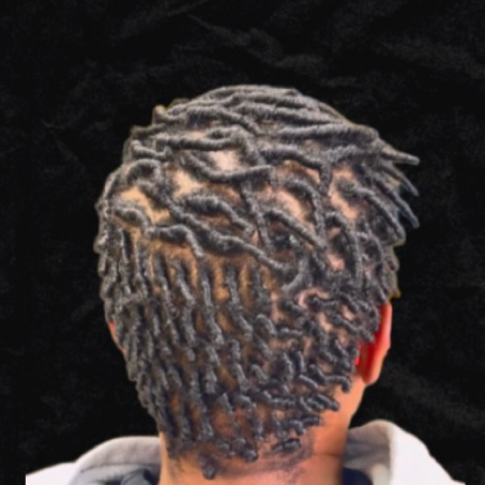 Starter Locs