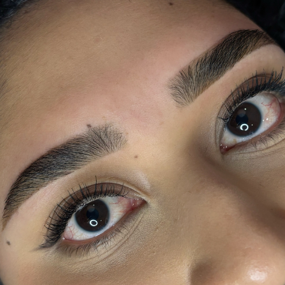 Brow Tint/ Tinte De Ceja at M.V ARTE in Pasco, WA