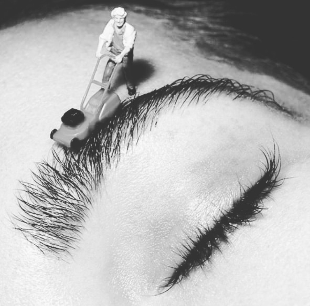 Brow Shaping