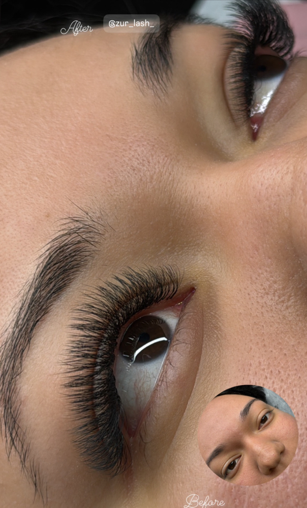 Hybrid Lashes