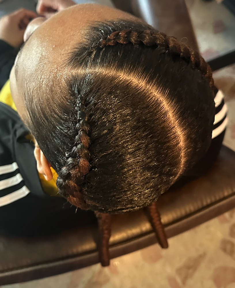 2 Braids Wit Hair Added