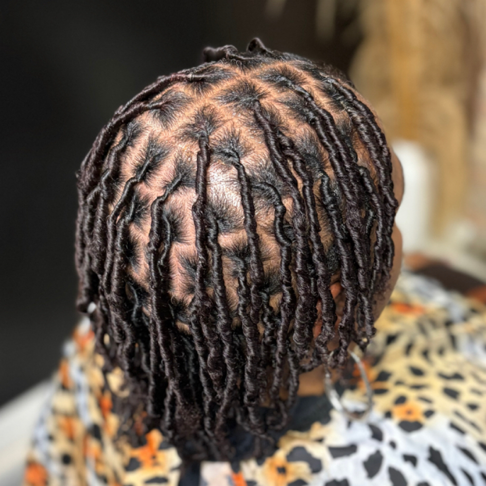 Loc Start at Rissa.on.da.locs in Chicago, IL