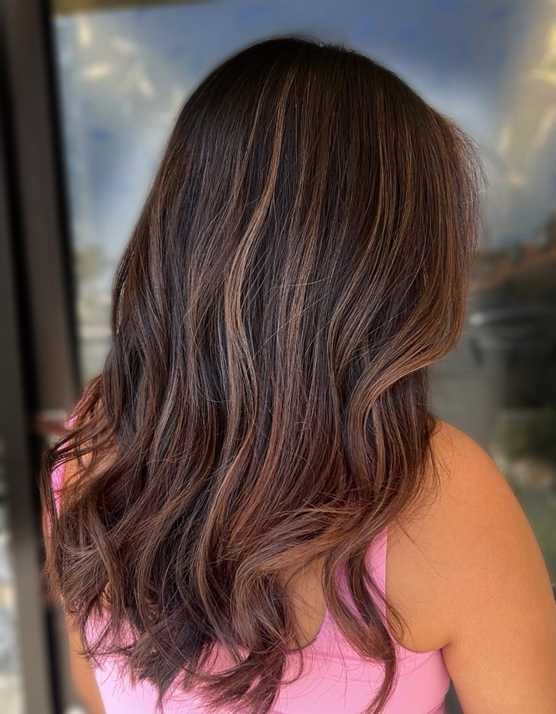Partial Highlight |Balayage| S/M