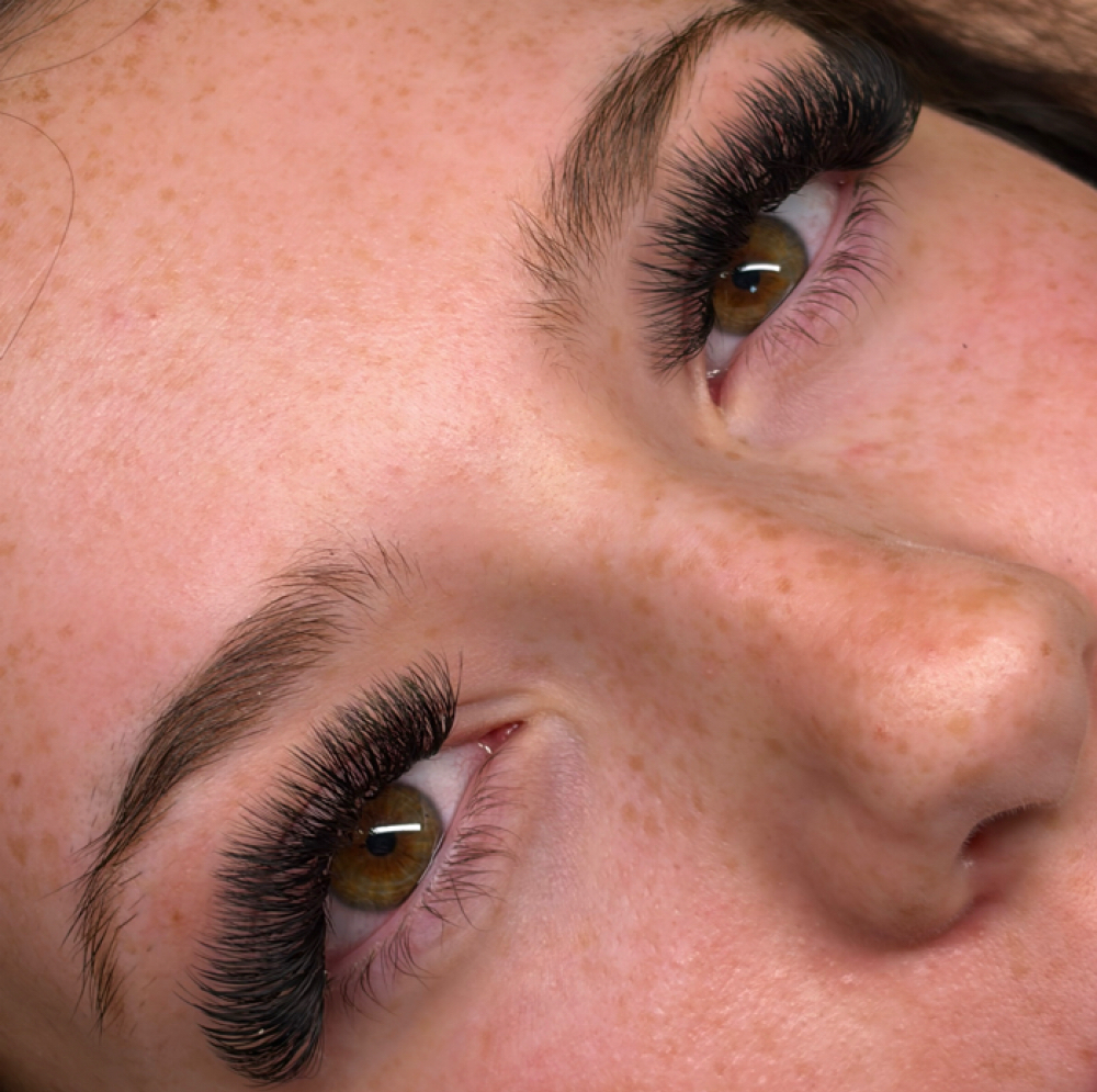 Volume Set at Lash & Claw in Evansville, IN