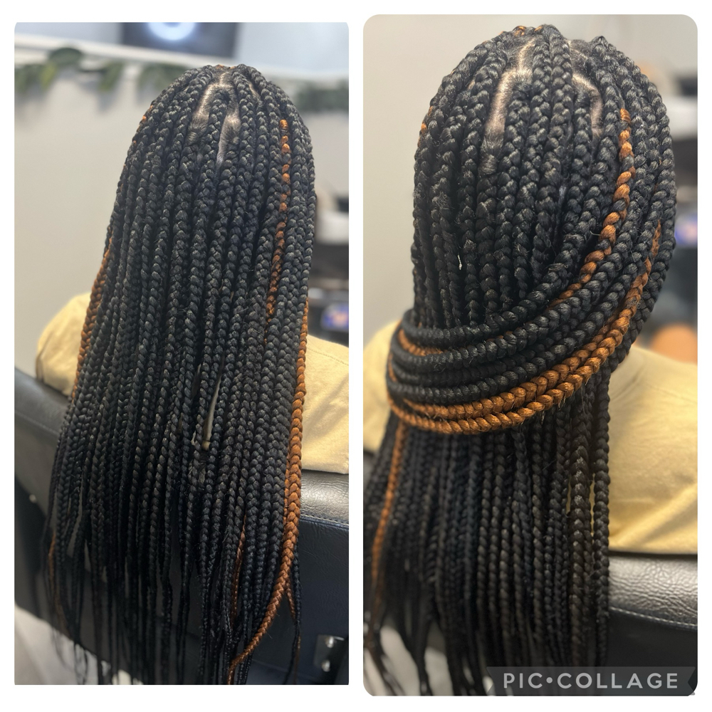 Medium box braids