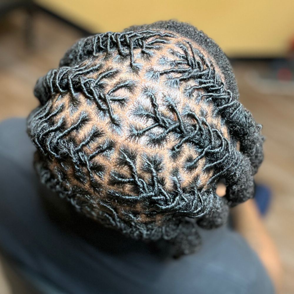 Locs | 101 - 200ct MAX at Crowned By Trece in Houston, TX