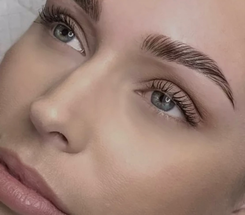 Eyebrow Tint & Lamination