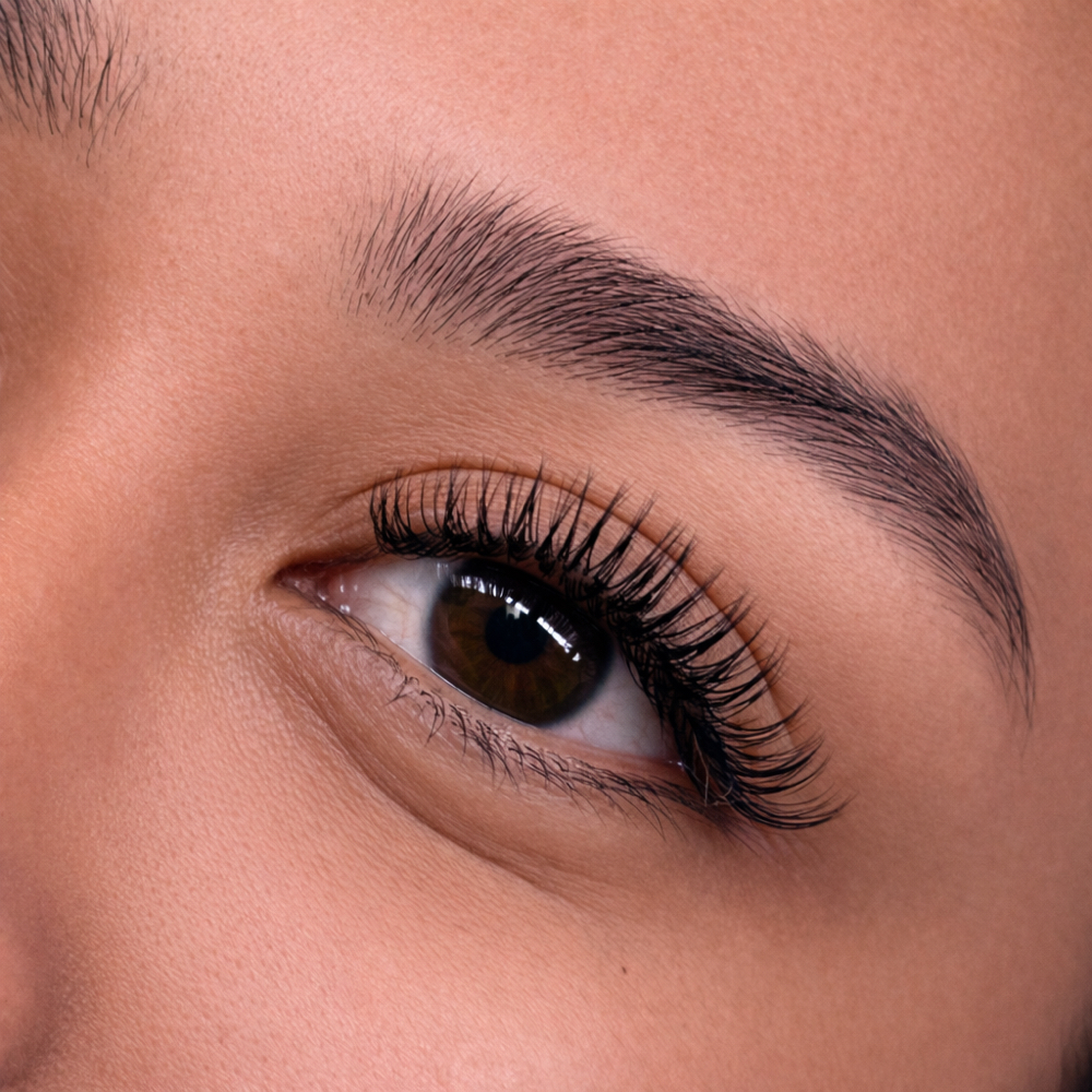 Classic Fill at Oooo Girl Lashes in Vista, CA