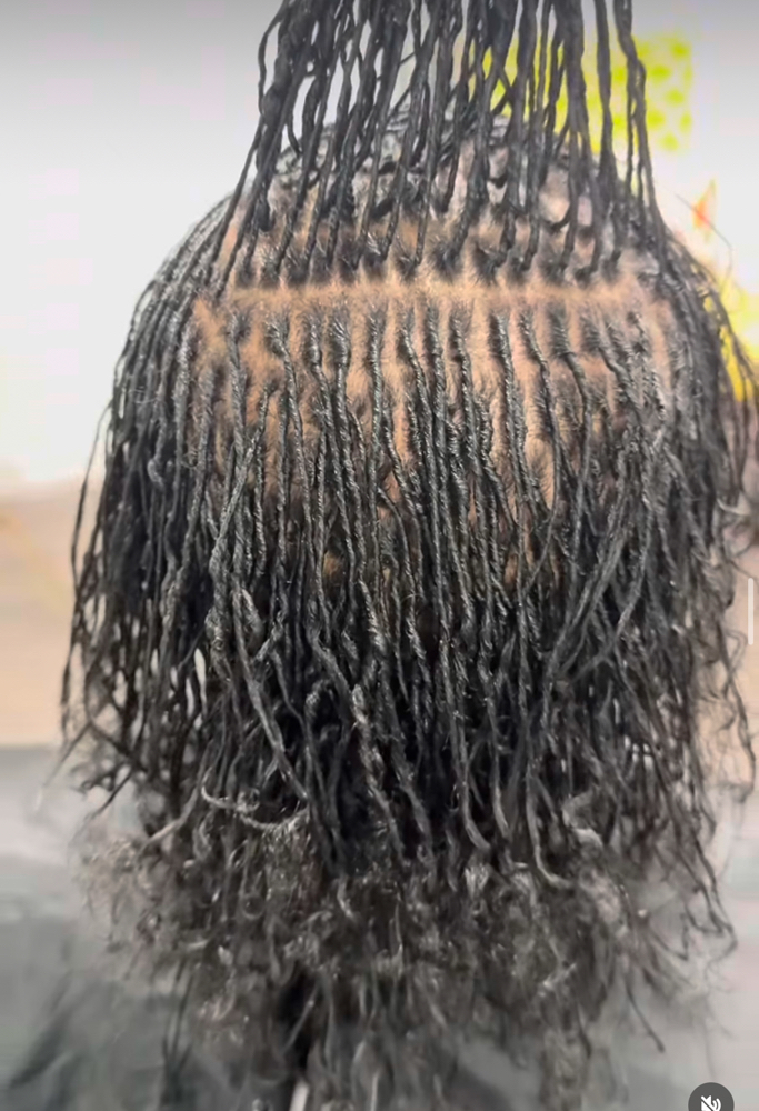Micro Starter locs