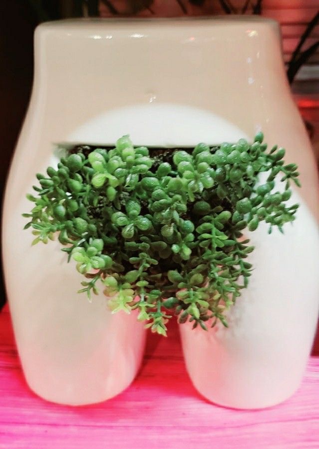 Brazilian Wax Service - V