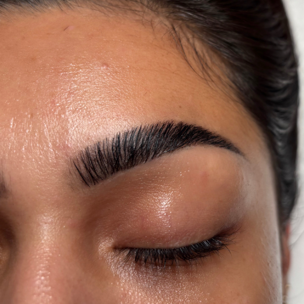 Brow Wax + Tint at Euphoria Skin in Chandler, AZ