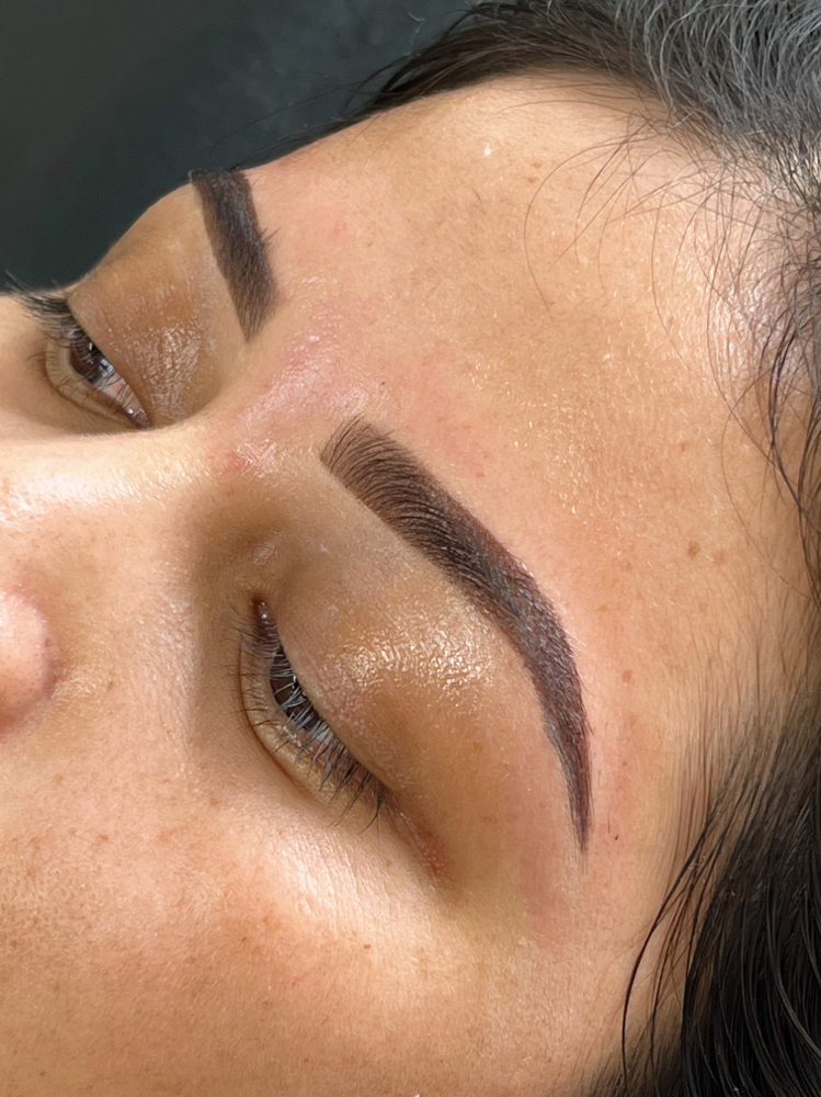 Eyebrow Wax + Hybrid Stain
