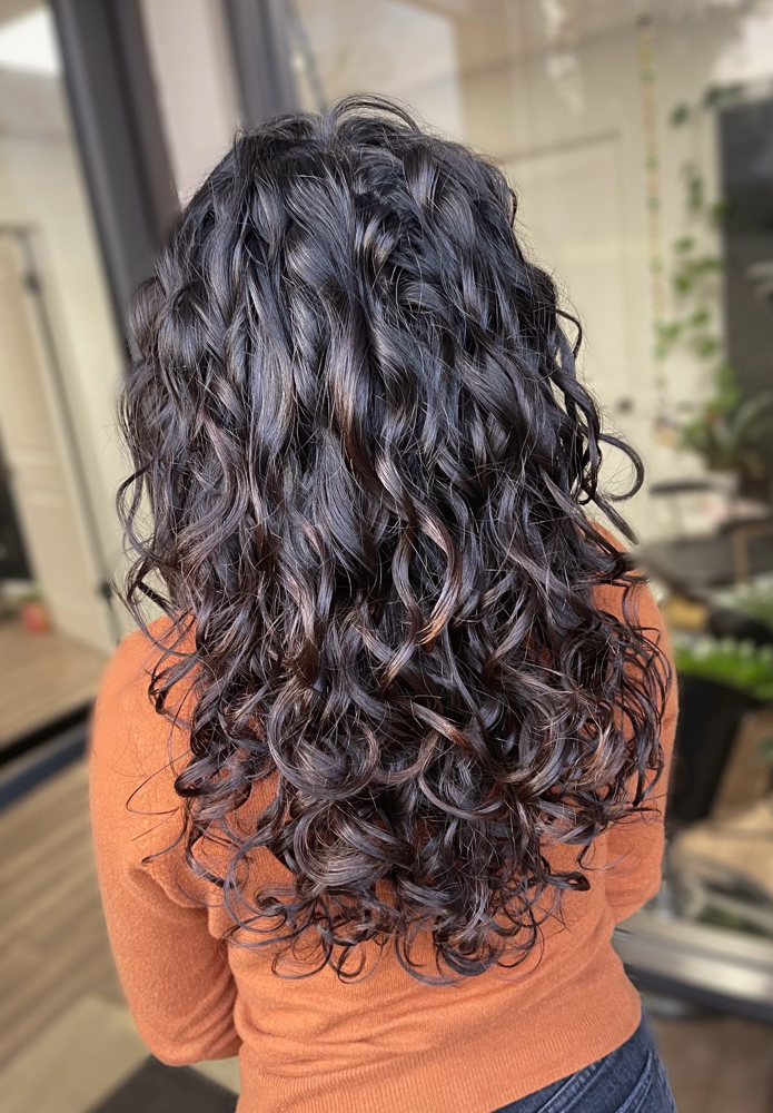 Curly Haircut at Prism Hair Collective in Fresno, CA