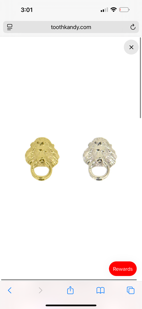 LION HEAD KNOCKER™