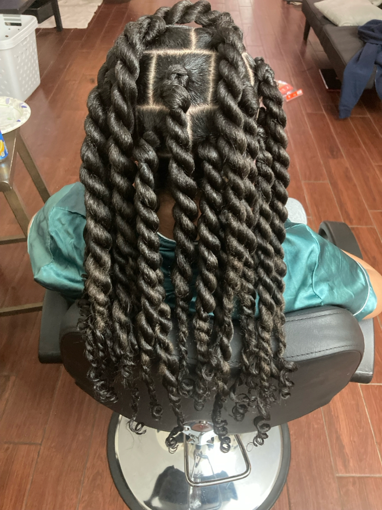Natural Protective Style at Twisted with Elegance in columbus, OH