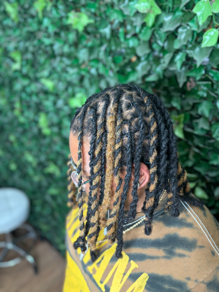 Locs Highlights