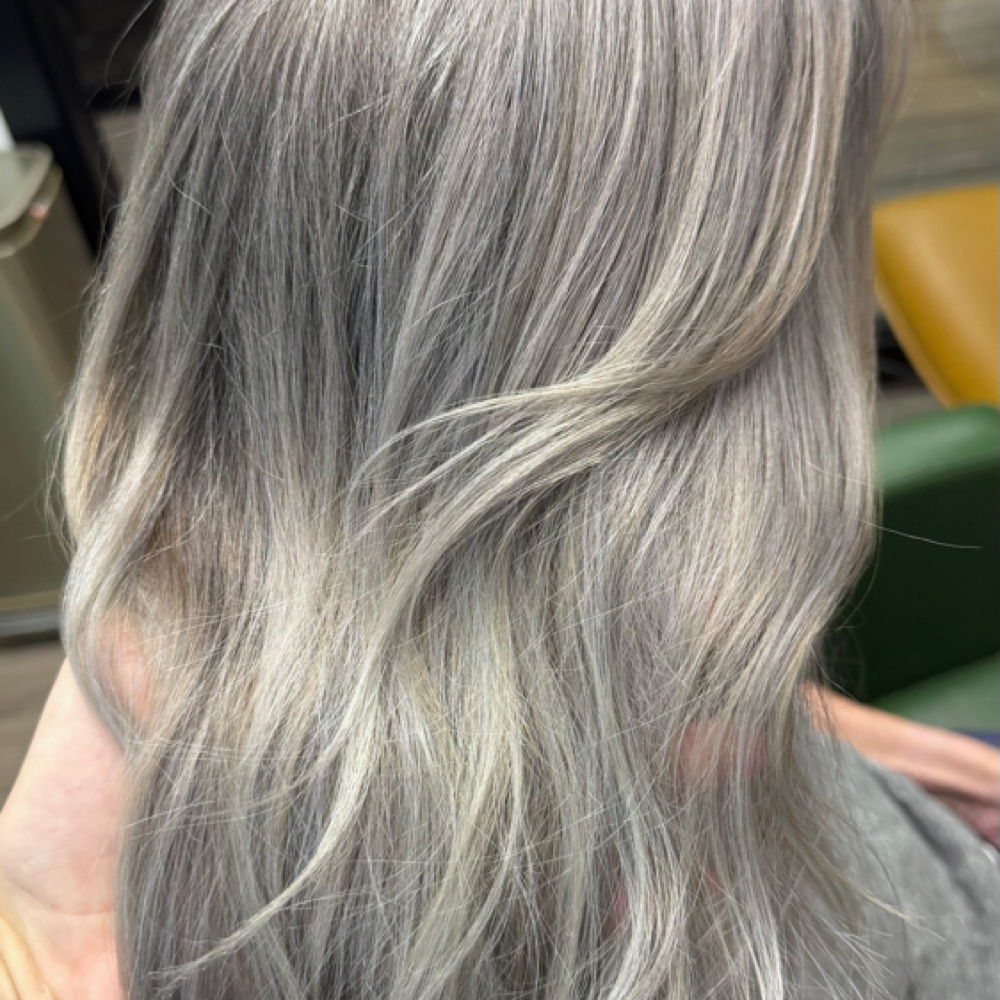 Silver Transformation 8+ Hours at Kat’s Color Studio in Summerville, SC