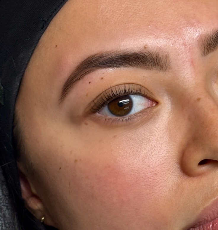 Brow Color Only at Bare Beauty LA in Los Angeles, CA
