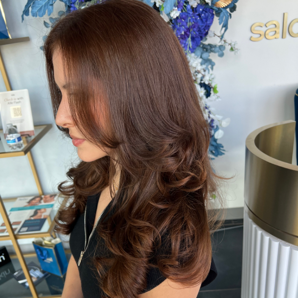 All Over Color (No Blow Dry ) at Aesthetic Makeup & Hair in Houston, TX