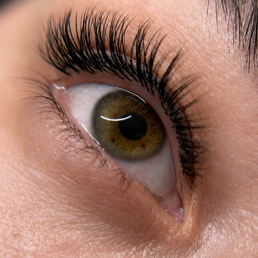 CLASSIC LASH EXTENSIONS (INFILL) at USACHOVA BEAUTY STUDIO in Charlotte, NC
